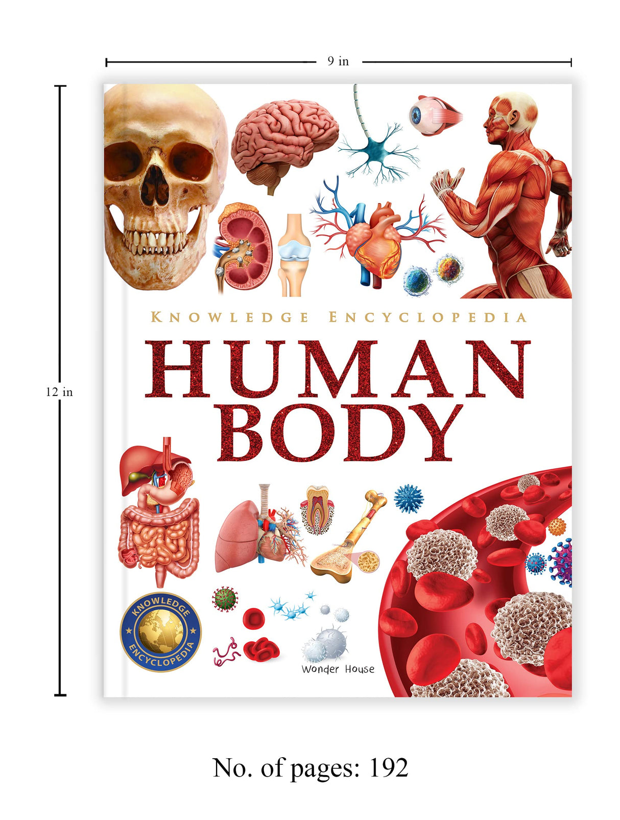 Knowledge Encyclopedia - Human Body - Retail Maharaj