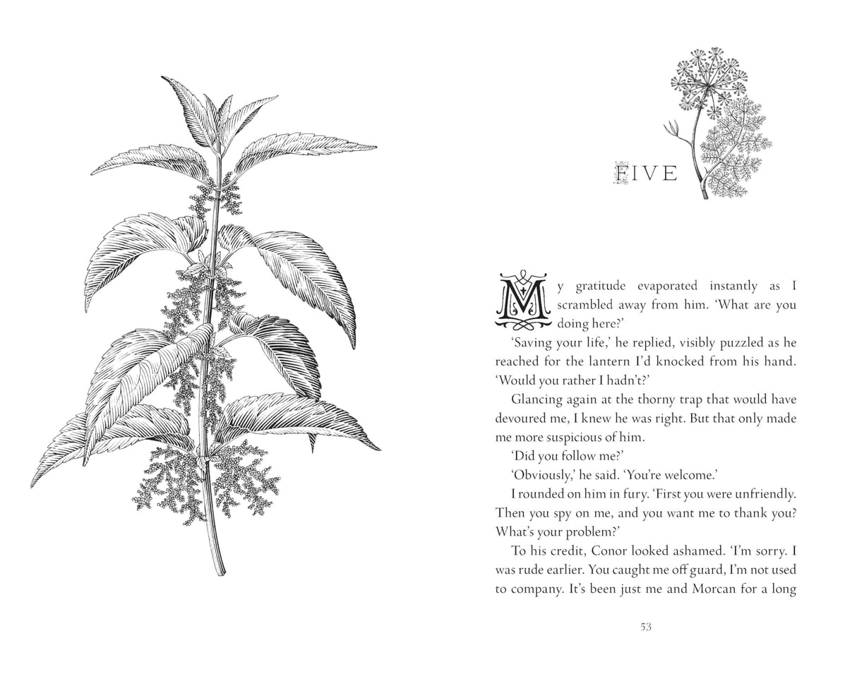 Nettle: Faery Realms series: The darkly enchanting YA fantasy - Retail Maharaj
