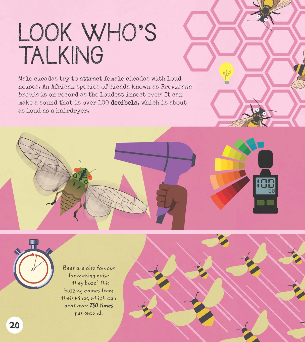 Entomology Activity Book - Retail Maharaj