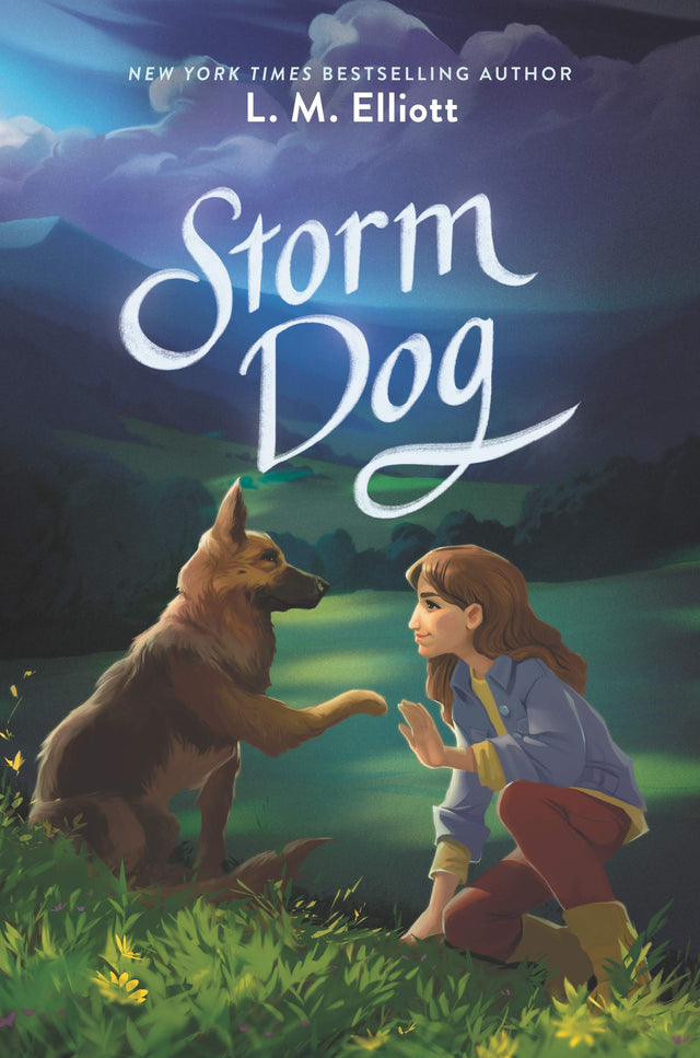 Storm Dog - Retail Maharaj