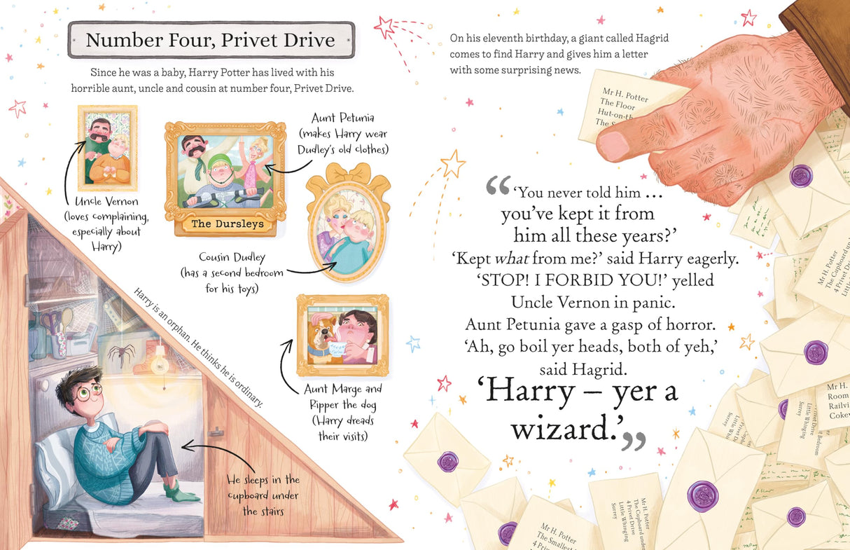 Harry Potter: The must-have Christmas stocking filler for Potter fans! (Pocket Potters – Little Guides to the HARRY POTTER Stories) - Retail Maharaj