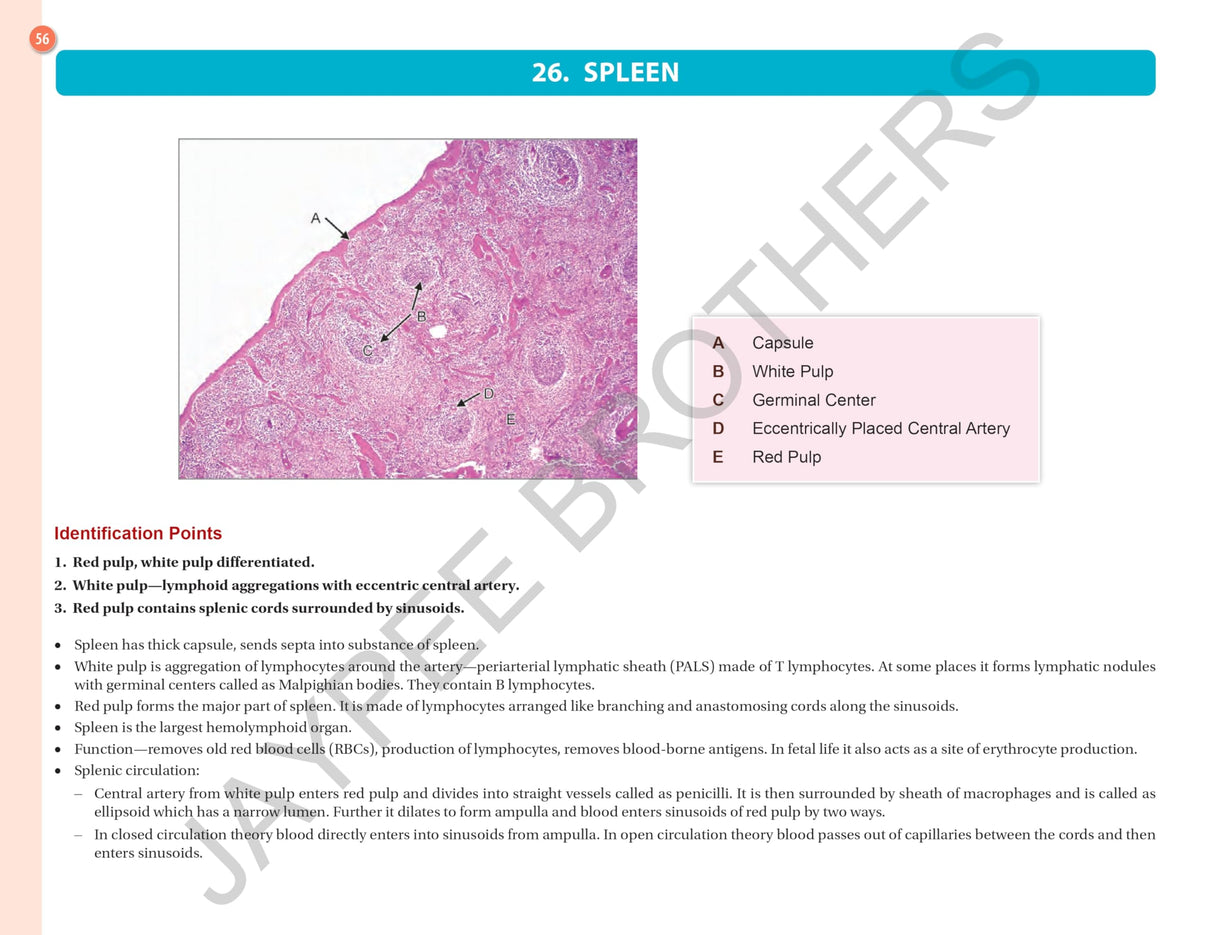 HISTOLOGY PRACTICAL MANUAL - Retail Maharaj