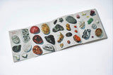 The Pebbles on the Beach - Retail Maharaj
