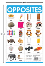 Opposites - My First Early Learning Wall Chart: For Preschool, Kindergarten, Nursery And Homeschooling (19 Inches X 29 Inches) - Retail Maharaj