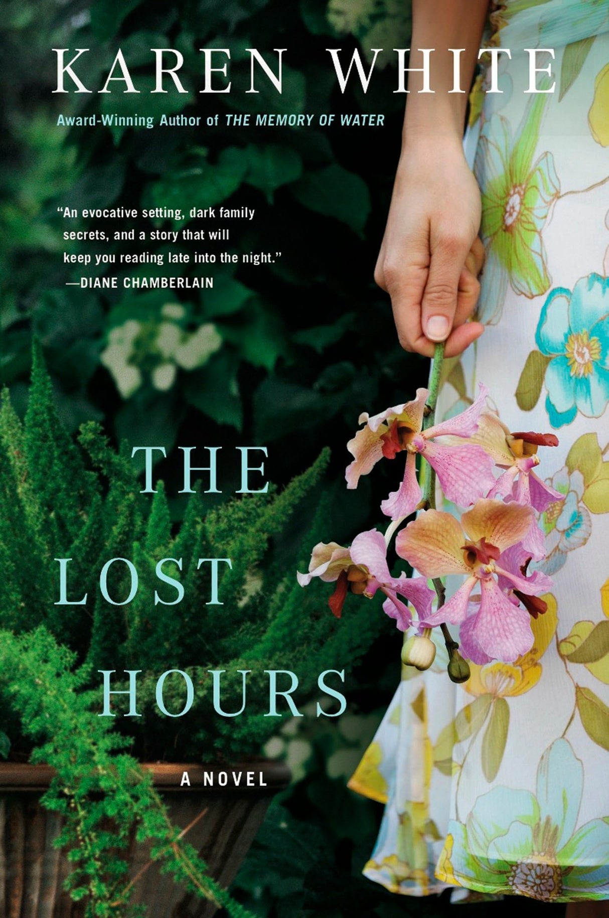 The Lost Hours - Retail Maharaj