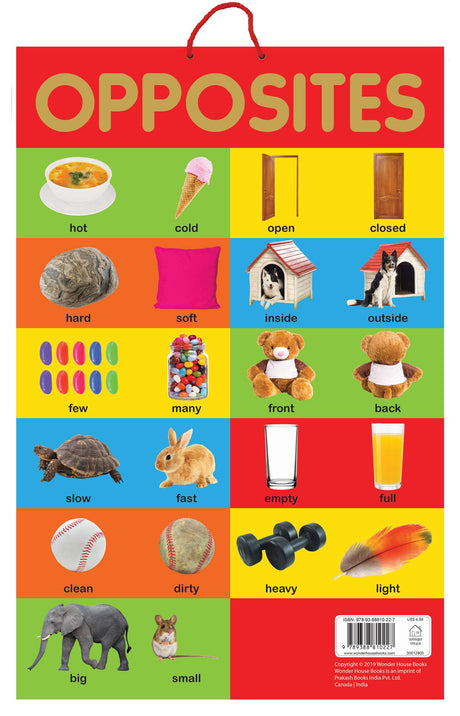 Opposites - Early Learning Educational Posters For Children: Perfect For Kindergarten, Nursery and Homeschooling (19 Inches X 29 Inches) - Retail Maharaj