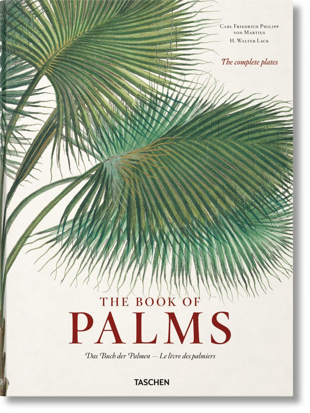 Martius. The Book of Palms - Retail Maharaj