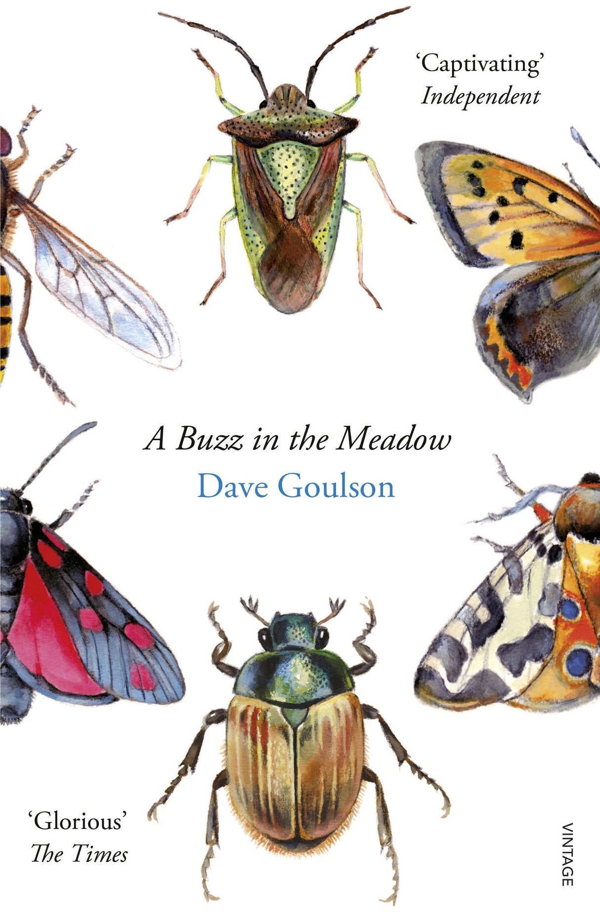 A Buzz in the Meadow - Retail Maharaj