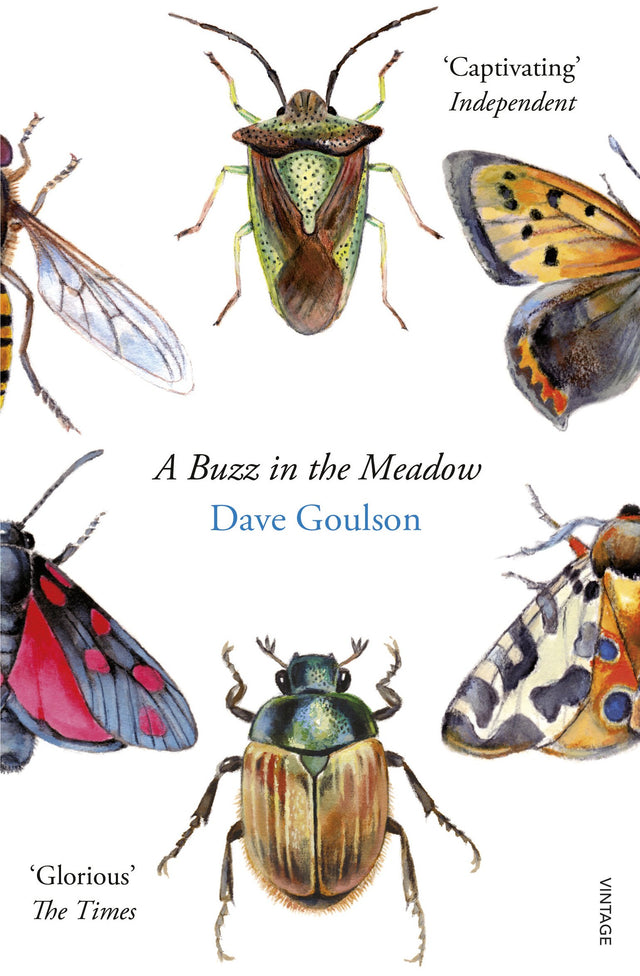 A Buzz in the Meadow - Retail Maharaj