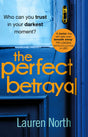 The Perfect Betrayal - Retail Maharaj