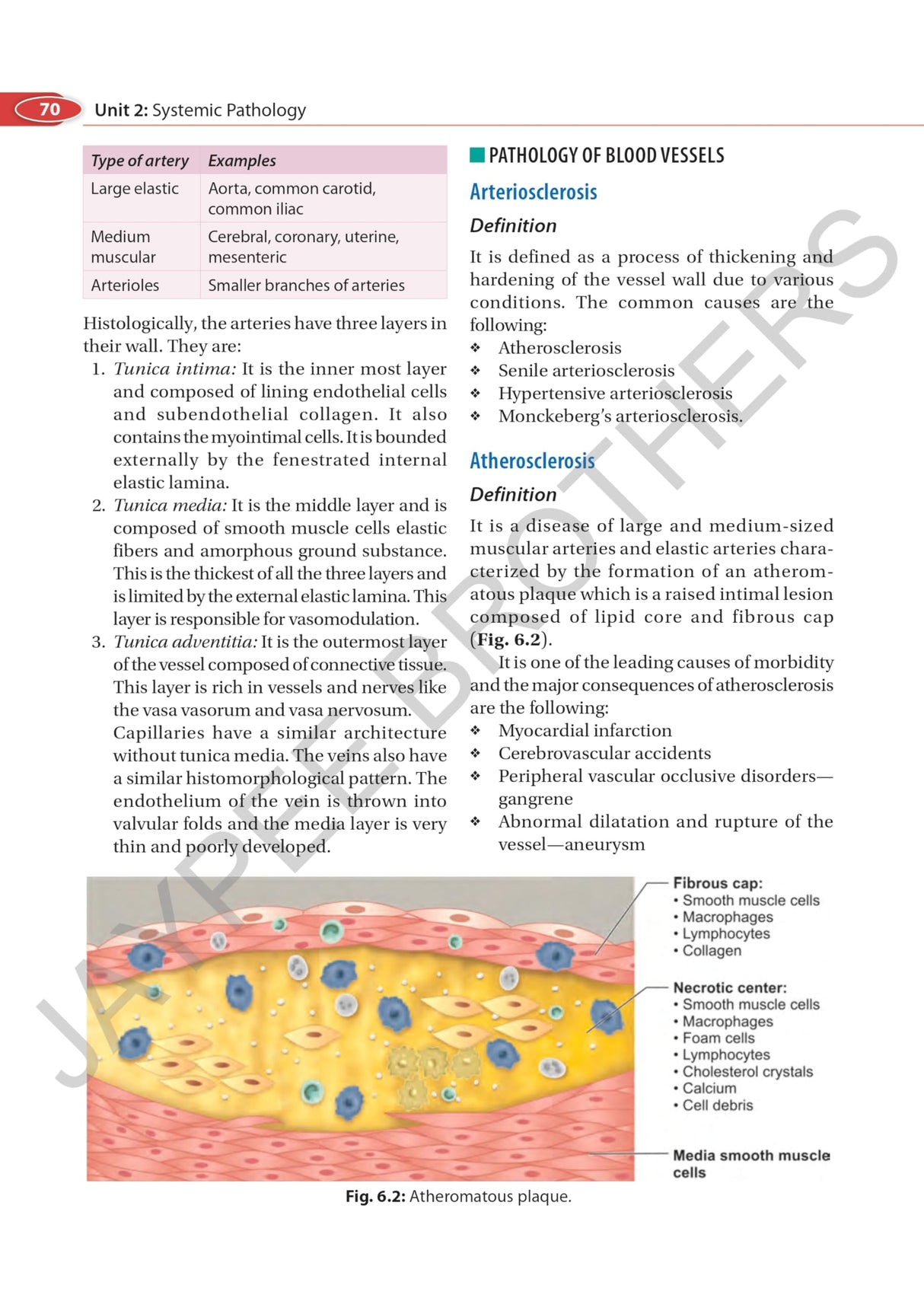 PATHOLOGY & GENETICS FOR NURSES - Retail Maharaj