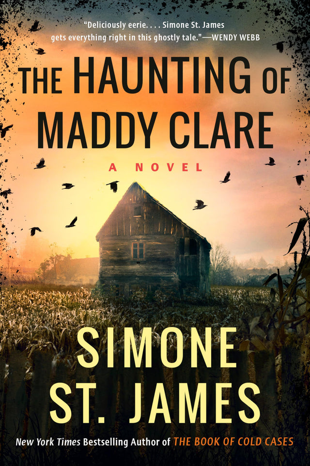 The Haunting of Maddy Clare - Retail Maharaj