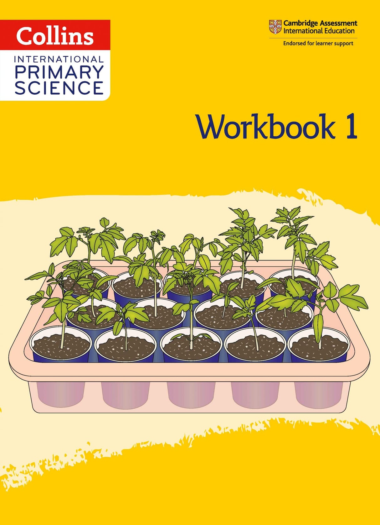 International Primary Science Workbook: Stage 1 - Retail Maharaj