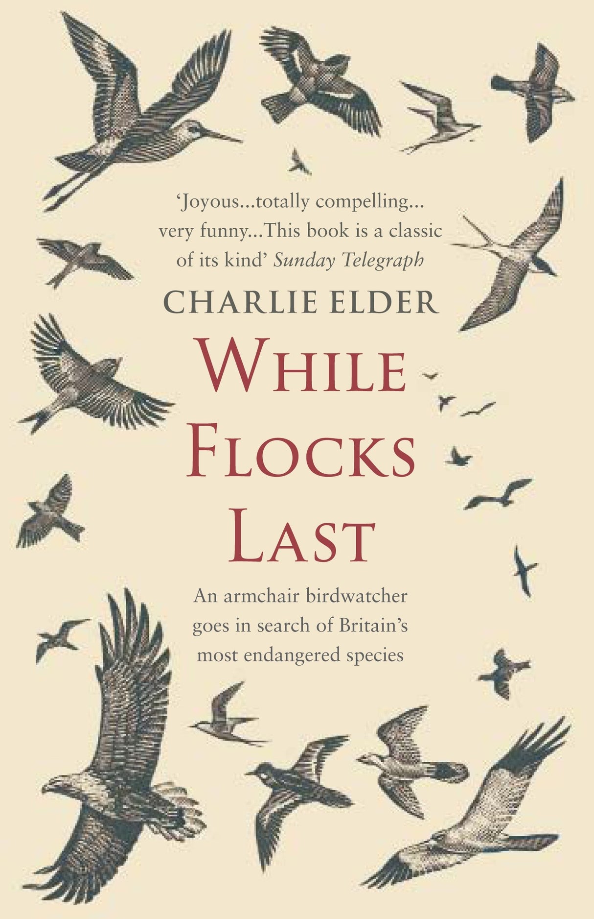 While Flocks Last: An Armchair Birdwatcher Goes in Search of Our Most Endangered Species - Retail Maharaj