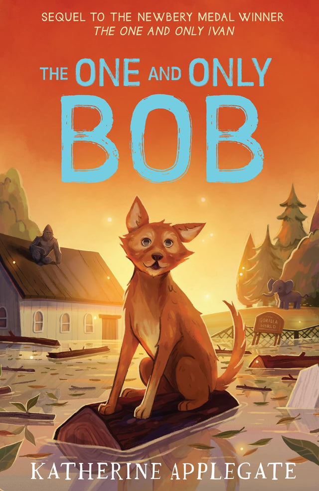 The One And Only Bob - Retail Maharaj