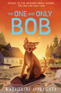 The One And Only Bob - Retail Maharaj
