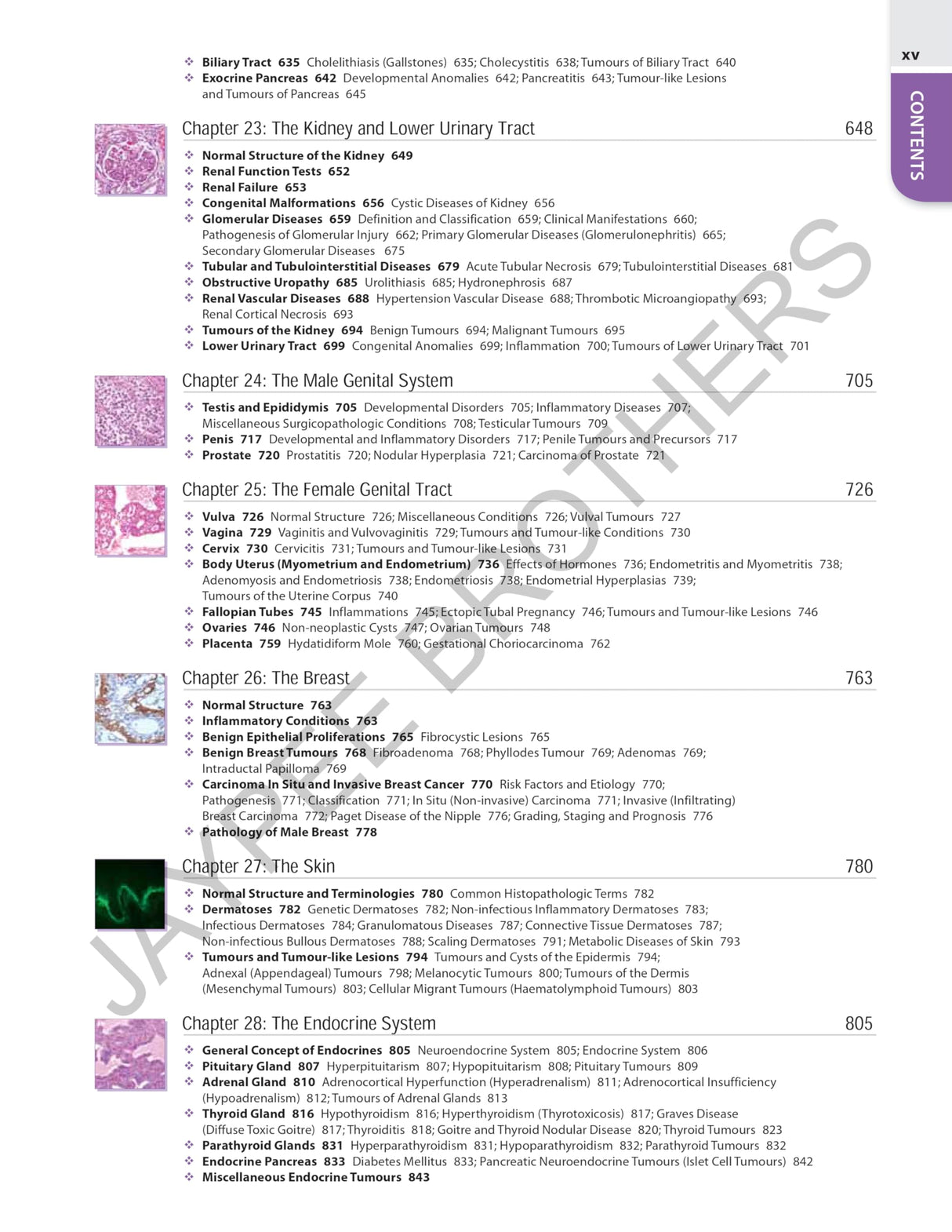 TEXTBOOK OF PATHOLOGY (FREE PATHOLOGY QUICK REVIEW) - Retail Maharaj