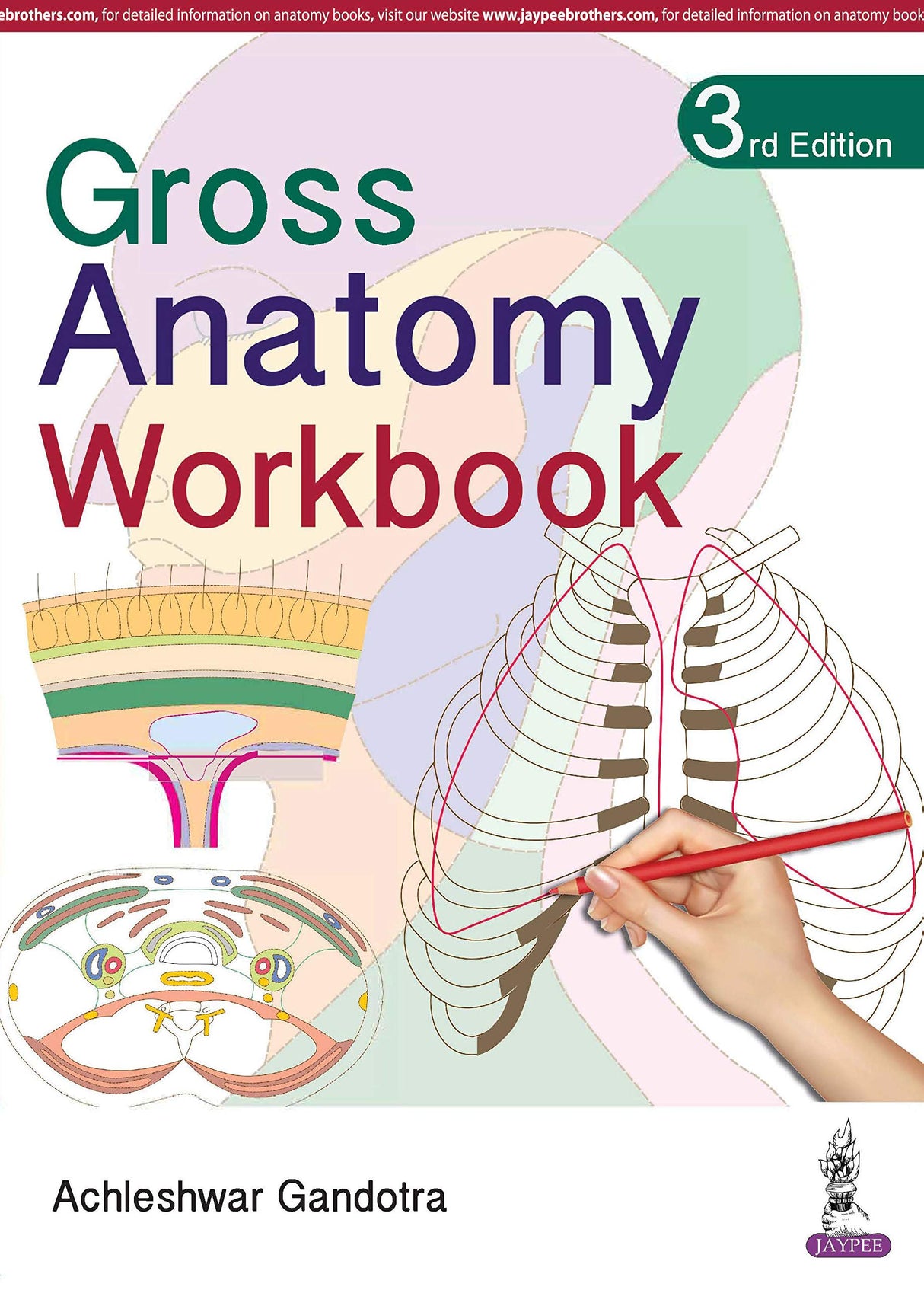 GROSS ANATOMY WORKBOOK - Retail Maharaj