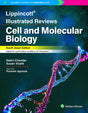 Lippincott ® Illustrated Reviews: Cell And Molecular Biology, South Asian ed - Retail Maharaj