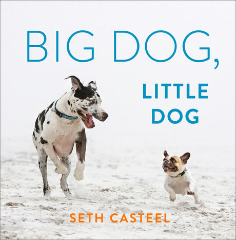 Big Dog, Little Dog - Retail Maharaj