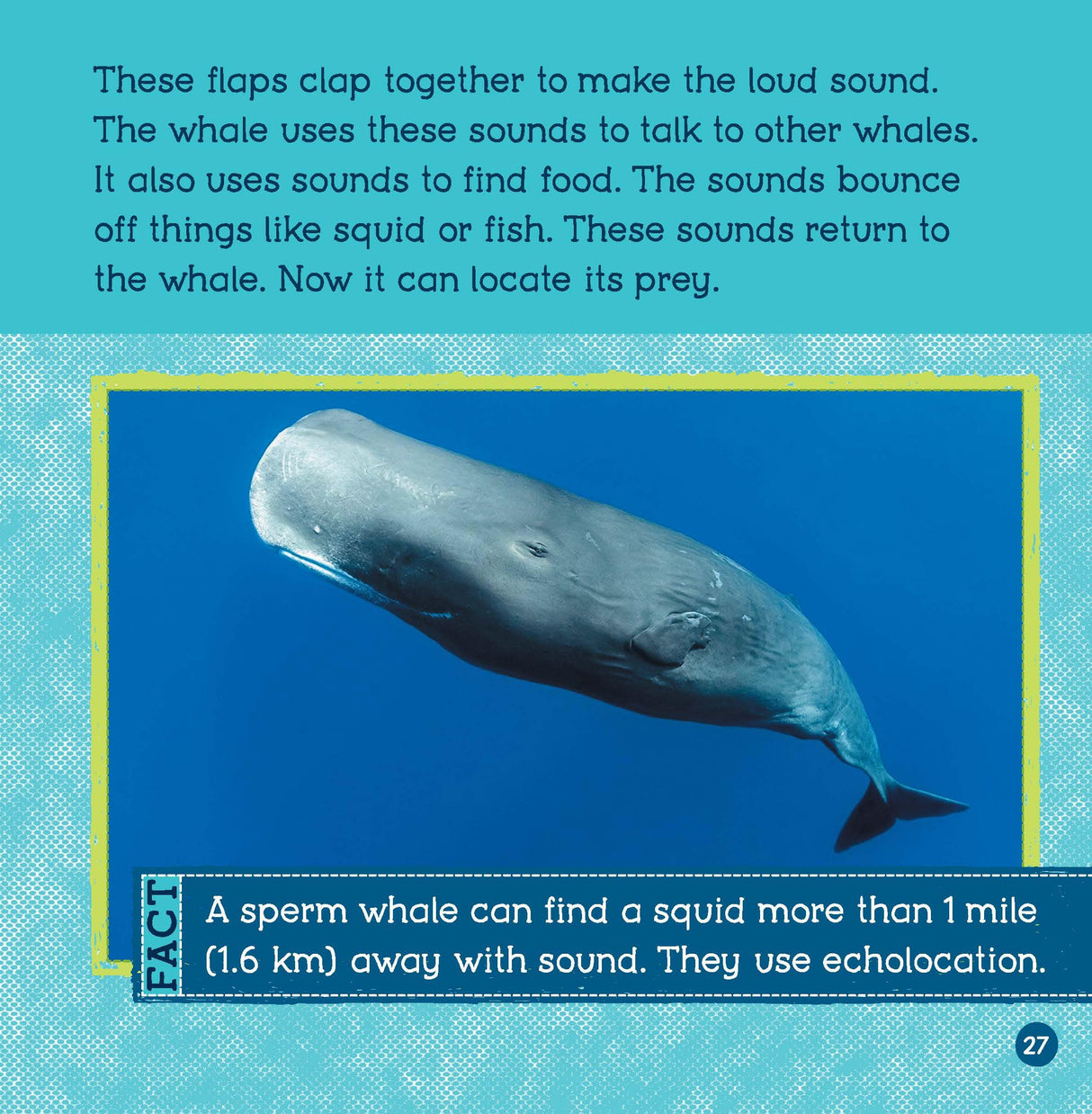 Loudest Animals (Wild World: Top 10) - Retail Maharaj