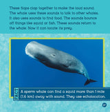 Loudest Animals (Wild World: Top 10) - Retail Maharaj