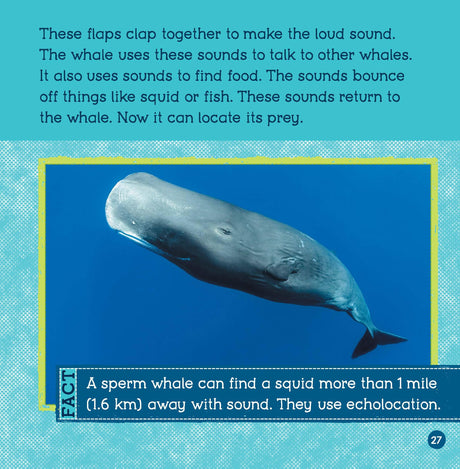Loudest Animals (Wild World: Top 10) - Retail Maharaj