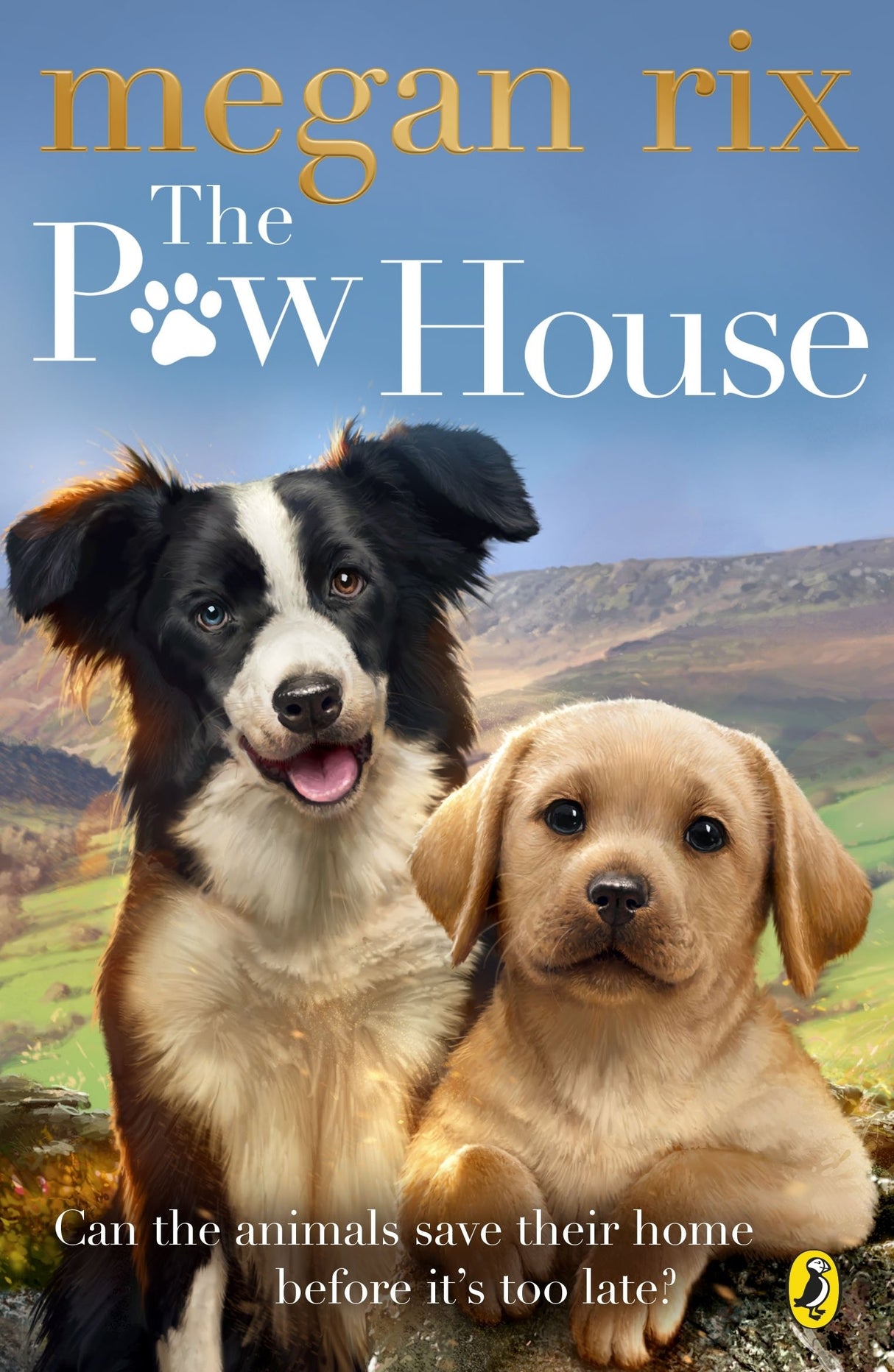 The Paw House - Retail Maharaj