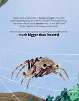 Big Questions Answered: Are Spider Webs Stronger Than Steel? Arachnology - Retail Maharaj