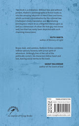 Entering the Maze: Queer Fiction of Krishnagopal Mallick - Retail Maharaj