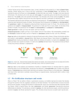 Pathfinder's NCERT Biology Book for Class 12: Comprehensive Guide for NEET, CUET (UG) Biology, and Class 12 Board | Latest NCERT Pattern, Simplified Language, Detailed Theory, and MCQs - Retail Maharaj