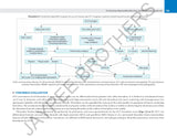 CORONARY OCT A CASE-BASED APPROACH - Retail Maharaj