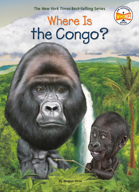 Where Is the Congo? - Retail Maharaj