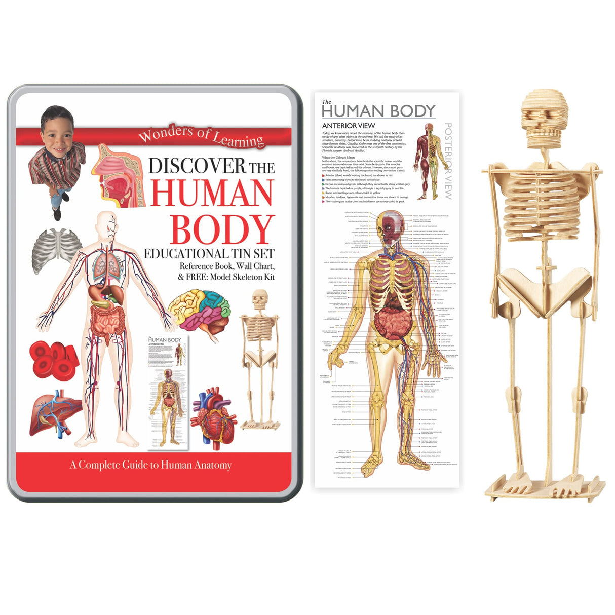 WOL DISCOVER THE HUMAN BODY - TIN BOX KIT, NPP - Retail Maharaj