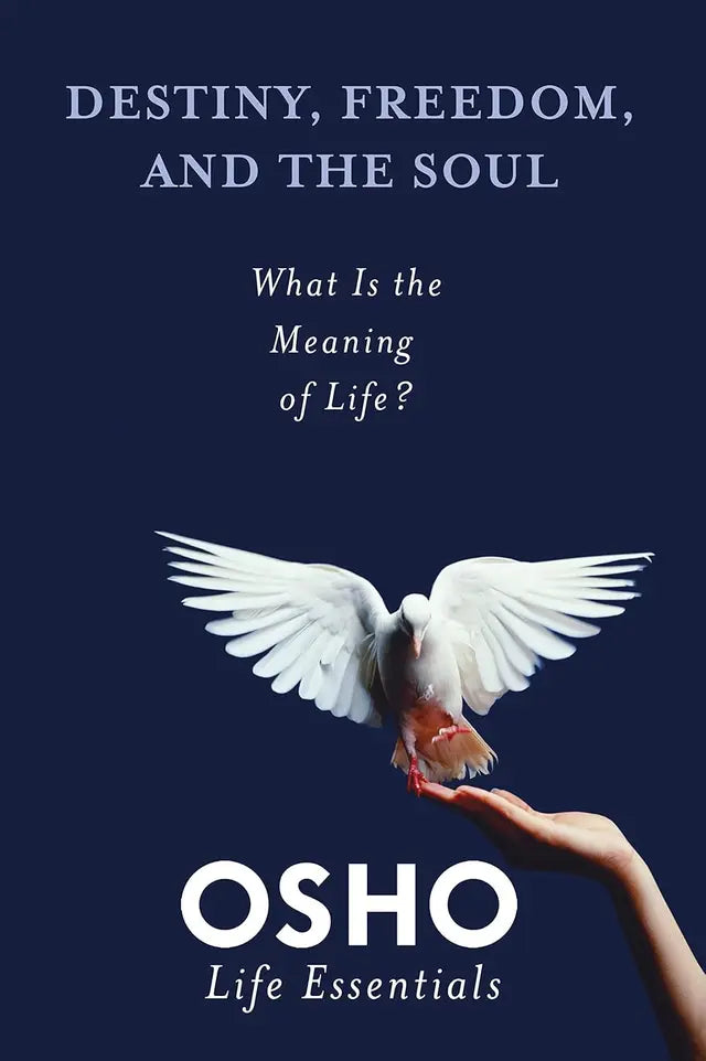 Destiny, Freedom, And The Soul - Retail Maharaj