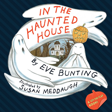 IN THE HAUNTED HOUSE NOVELTY P - Retail Maharaj