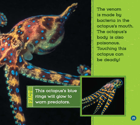 Poisonous Animals (Wild World: Top 10) - Retail Maharaj