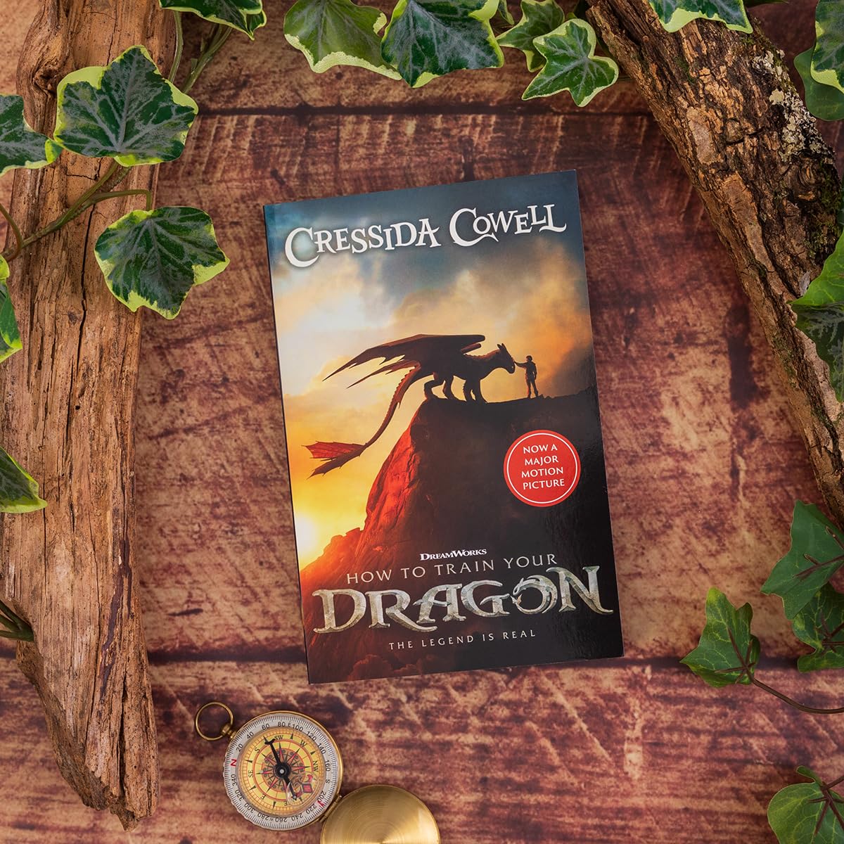How to Train Your Dragon 2025 FILM TIE-IN EDITION: Book 1 - Retail Maharaj