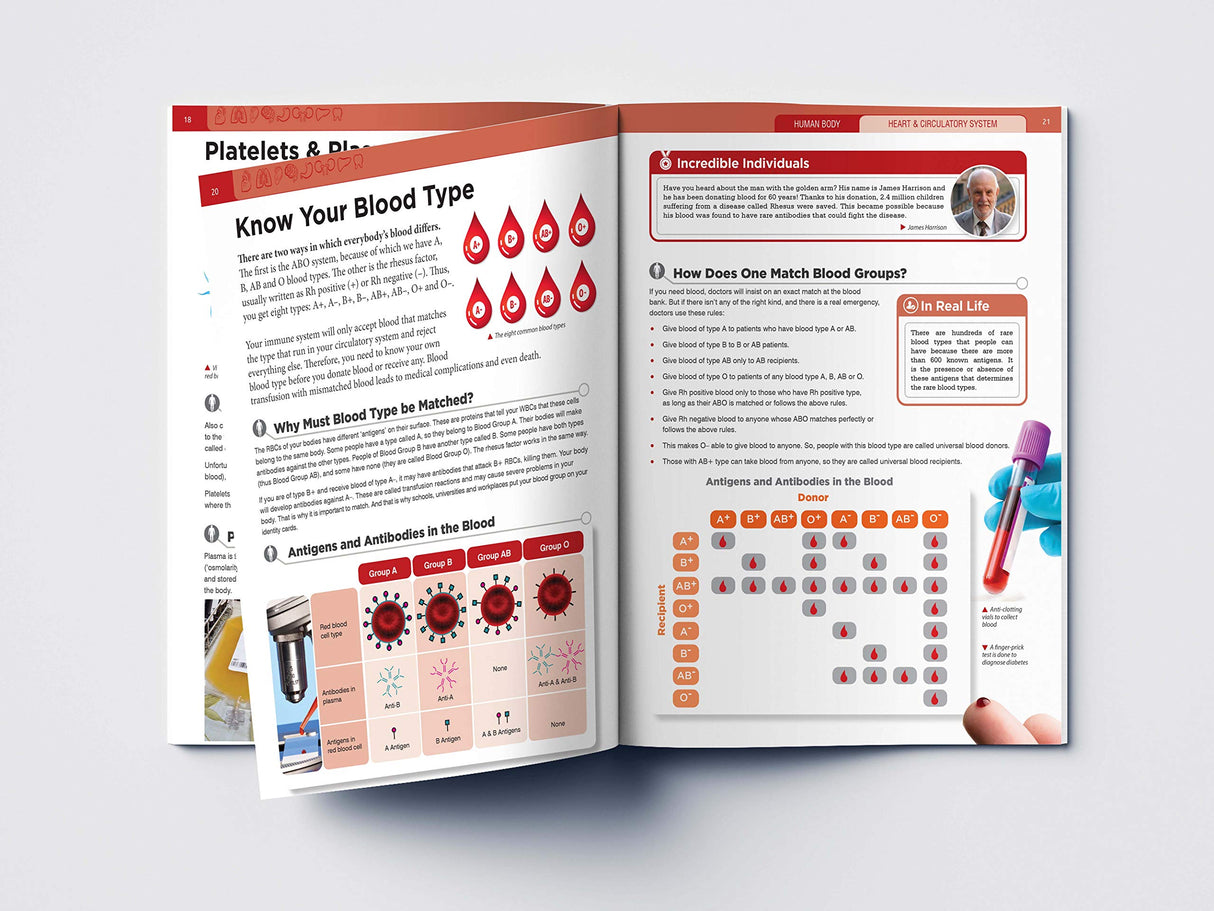 Human Body - Heart And Circulatory System: Knowledge Encyclopedia For Children - Retail Maharaj