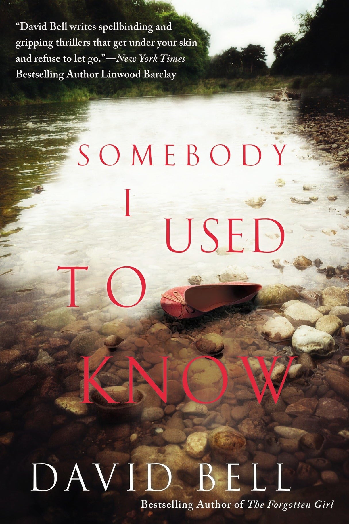 Somebody I Used to Know - Retail Maharaj
