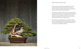 The Little Book of Bonsai: An Easy Guide to Caring for Your Bonsai Tree - Retail Maharaj