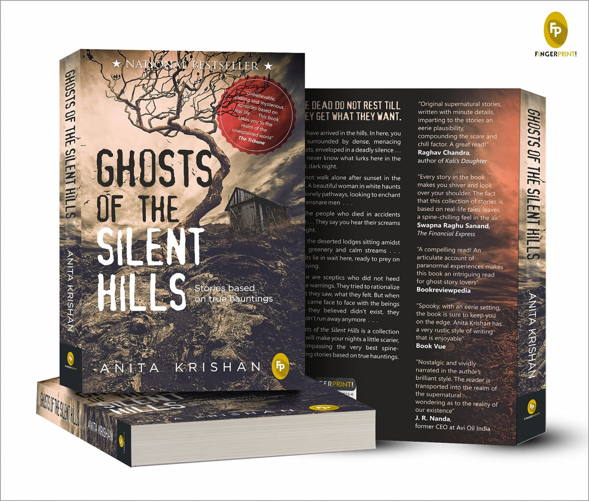 Ghosts of The Silent Hills: Stories based on true hauntings - Retail Maharaj