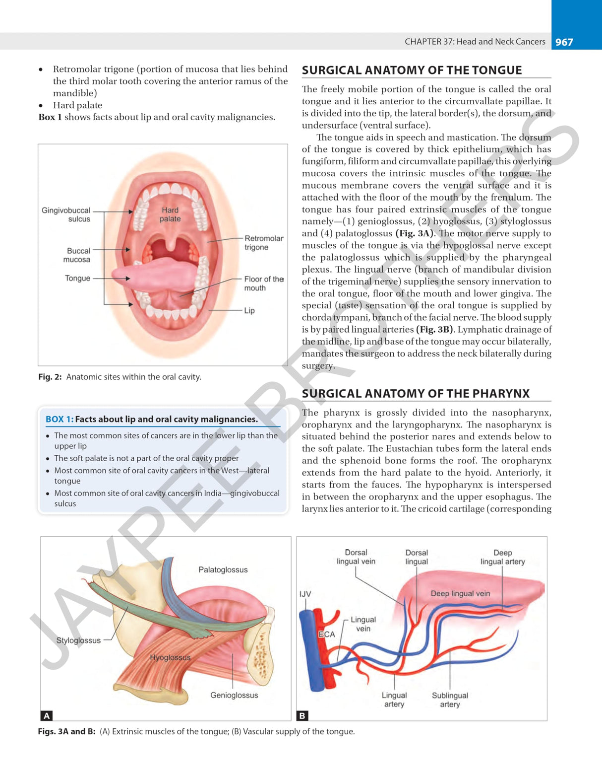 POSTGRADUATE SURGERY (2VOLS) - Retail Maharaj