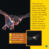 Loudest Animals (Wild World: Top 10) - Retail Maharaj