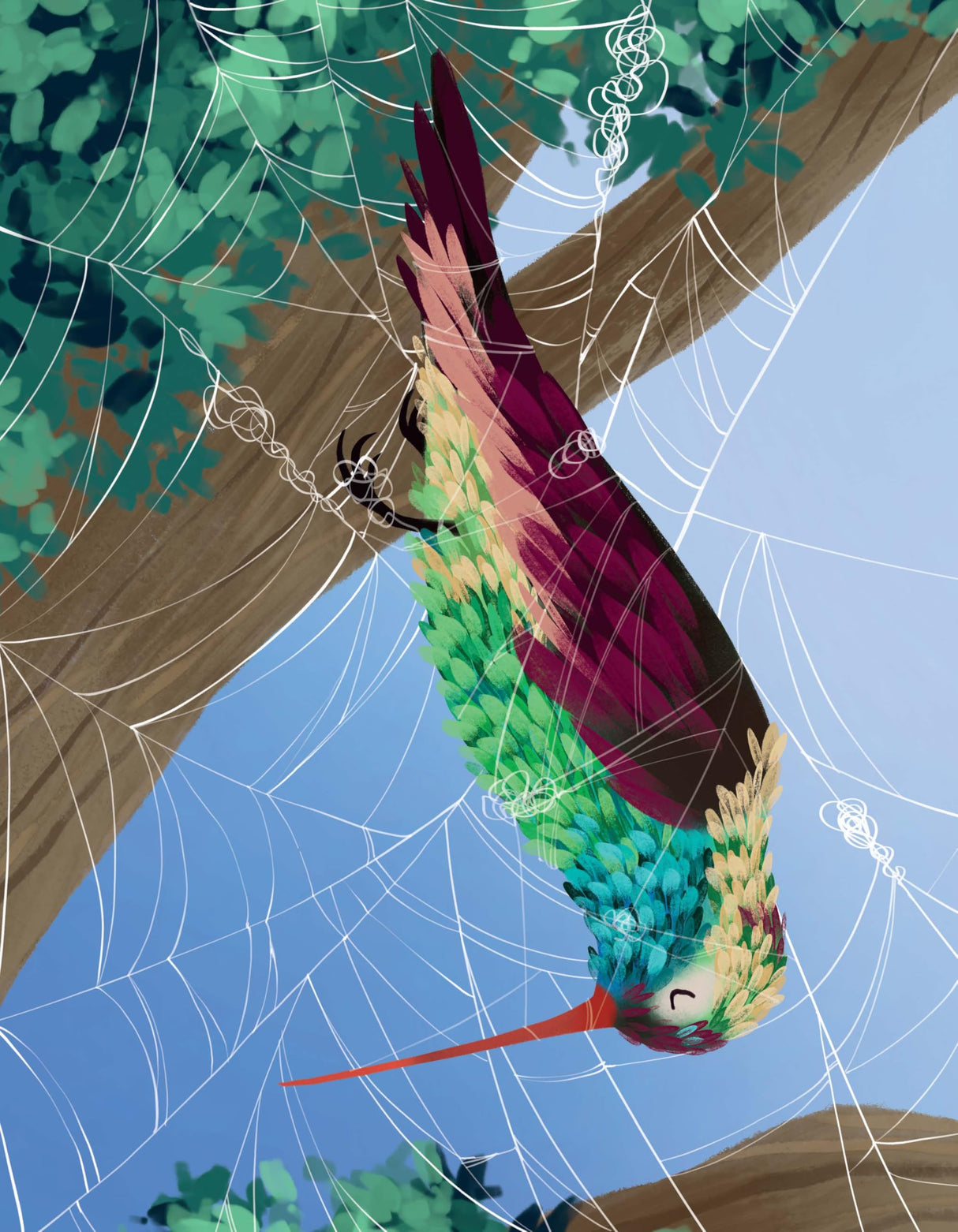 Big Questions Answered: Are Spider Webs Stronger Than Steel? Arachnology - Retail Maharaj
