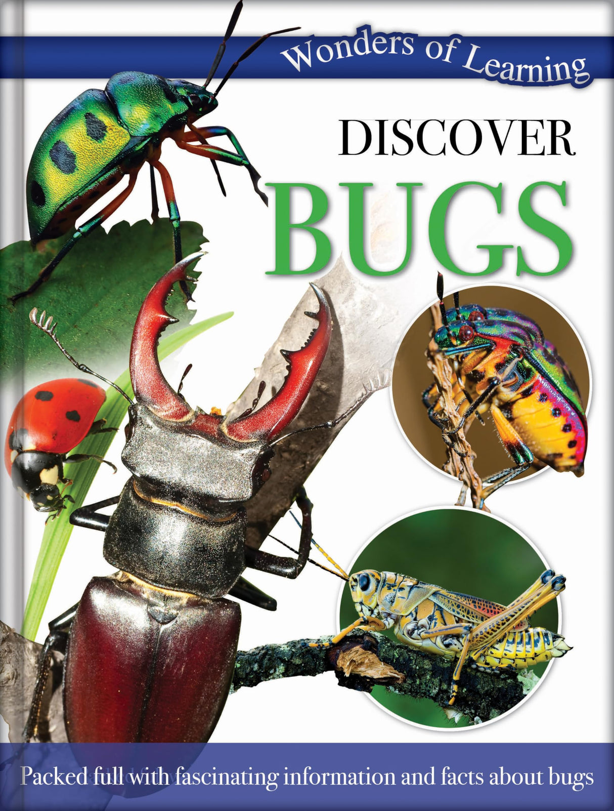 BUGS - Retail Maharaj