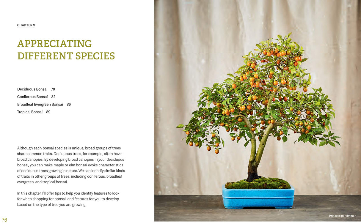 The Little Book of Bonsai: An Easy Guide to Caring for Your Bonsai Tree - Retail Maharaj
