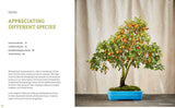 The Little Book of Bonsai: An Easy Guide to Caring for Your Bonsai Tree - Retail Maharaj
