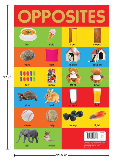 Opposites Chart - Early Learning Educational Chart For Kids: Perfect For Homeschooling, Kindergarten and Nursery Students (11.5 Inches X 17.5 Inches) - Retail Maharaj
