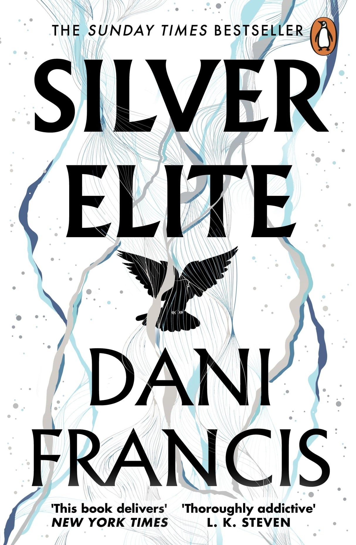 Silver Elite: The sizzling Sunday Times bestselling enemies-to-lovers dystopian romantasy sensation - Retail Maharaj